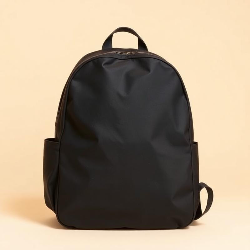 Skybags Daily Casual